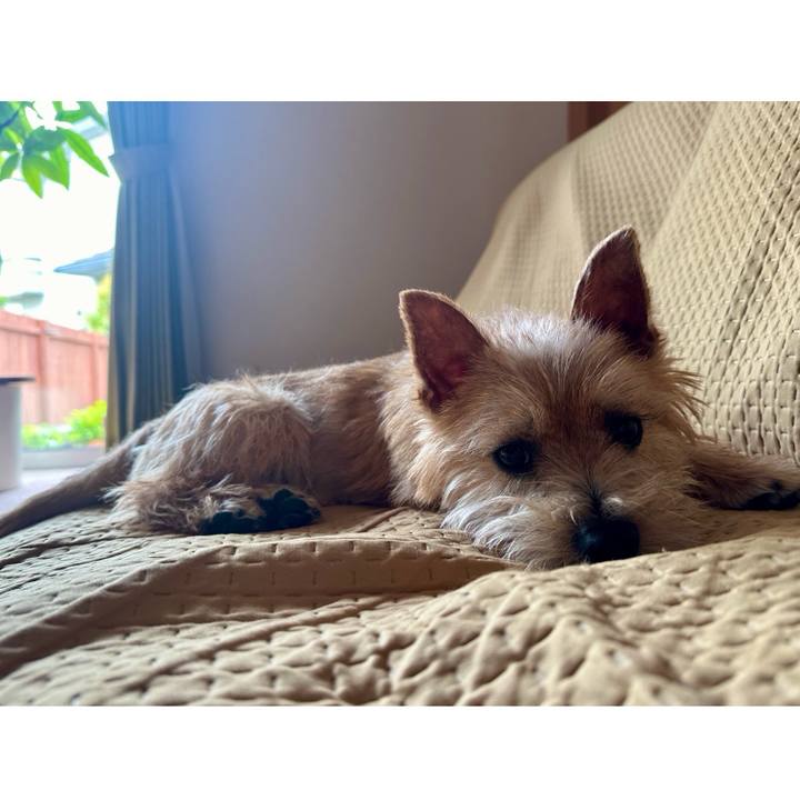 56bc2728 90a3 4a6e 8218 e3ff1a2734d3 1715512803977