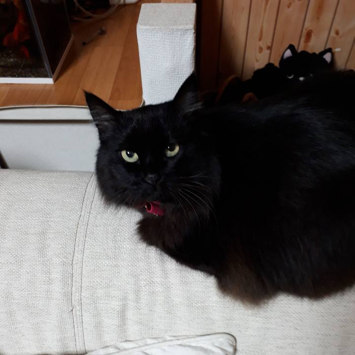 56bc7fbe 3c03 4ba6 aa74 6004665477b3 1517681521387