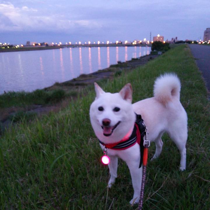 56bcba3c dd32 40d9 abe3 9fea6a9fb194 1562238447469