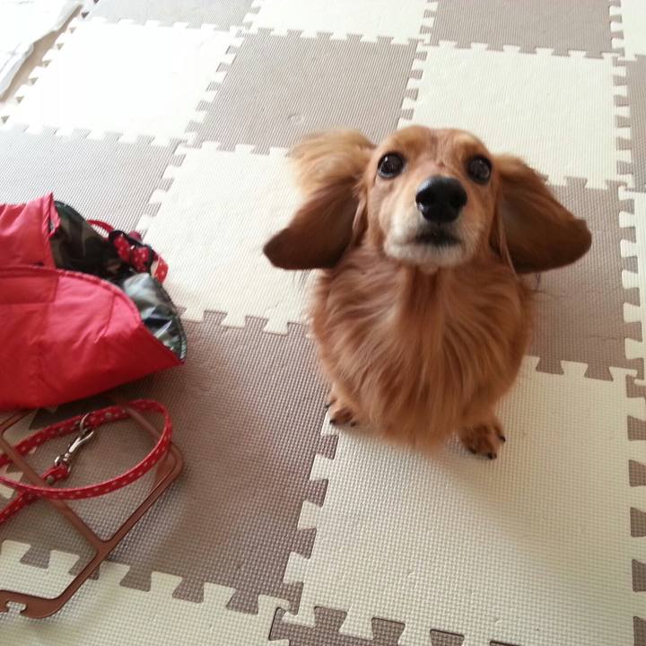 56bce725 cacf 45bb a8e1 7147d0c12289 1519625199491