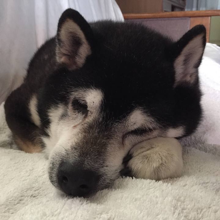 56bcedca dea2 4f89 a503 de68d7c3e545 1515853023093