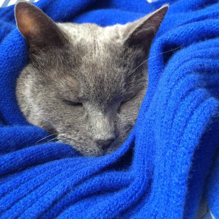 56bd65d8 5dfa 403e 93ce 7bb0561d632c 1763180374642