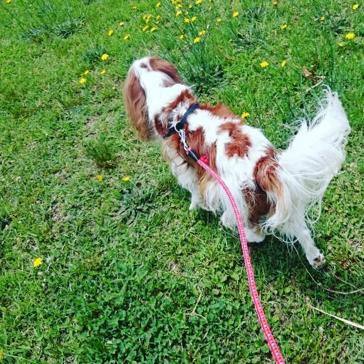 56bd8312 45e5 46dc 883b 0430e3d860a4 1560221696696