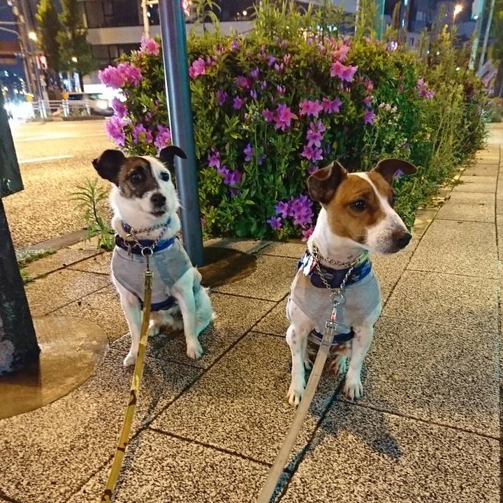 56bdab75 88c3 4076 8dad 0dc4eabaf82f 1587377117861