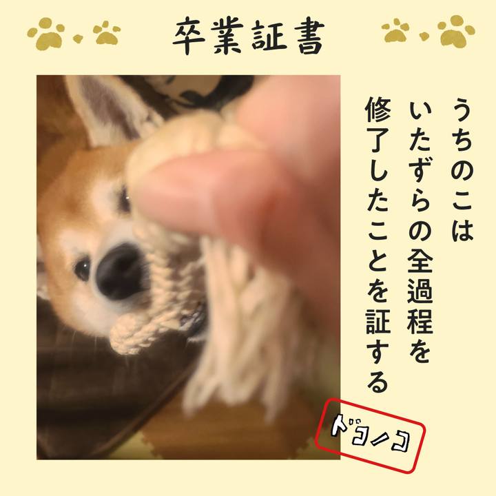 56bdefb0 1904 4d70 9462 f3eaa185d231 1771893325457