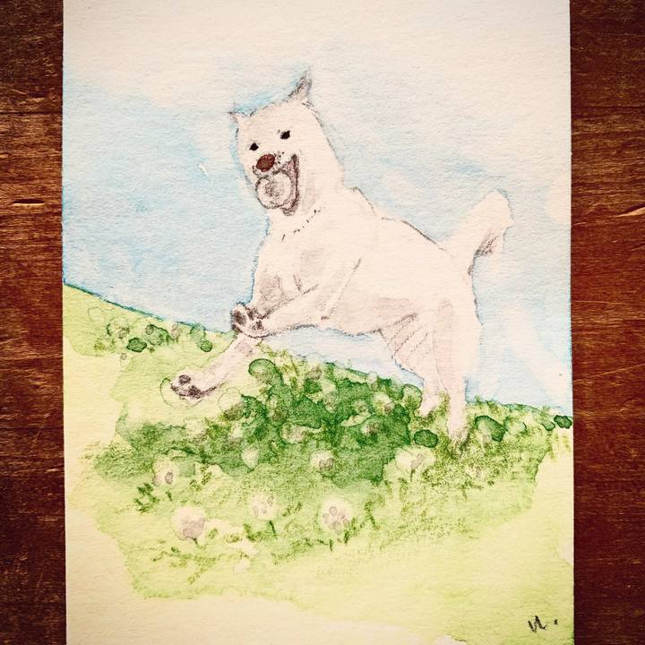 56bdf7a7 1ee9 421d 8d3a a8294903227b 1612583051020