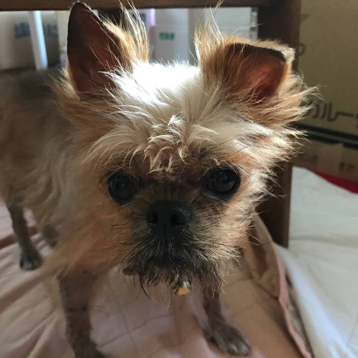 56be139b c660 40d8 b501 ff28ba1ee471 1530323670897