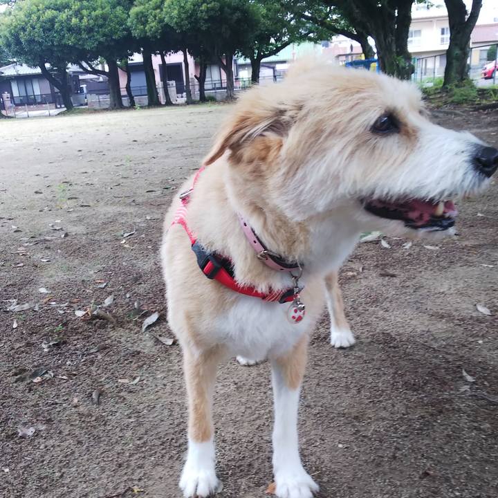 56be4116 d468 4ce1 9c72 2920a6d37c6d 1561769745895