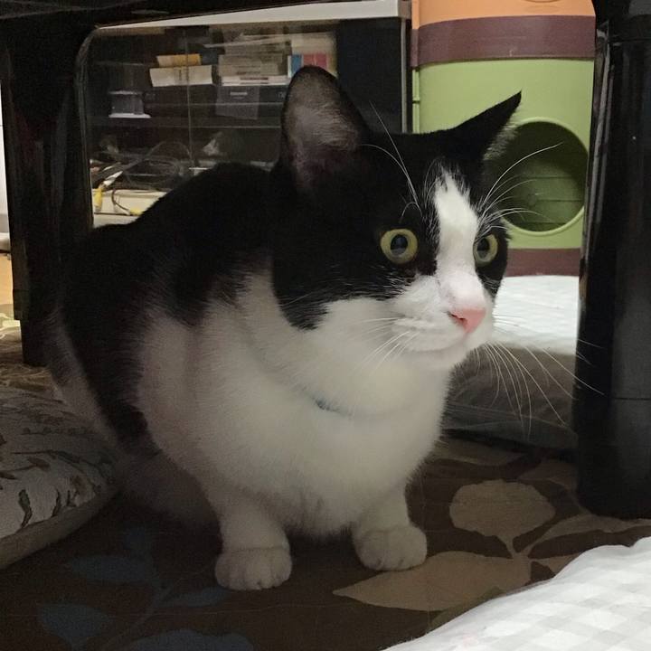 56be4231 984c 427d b766 1955dc48c5fc 1696759002092