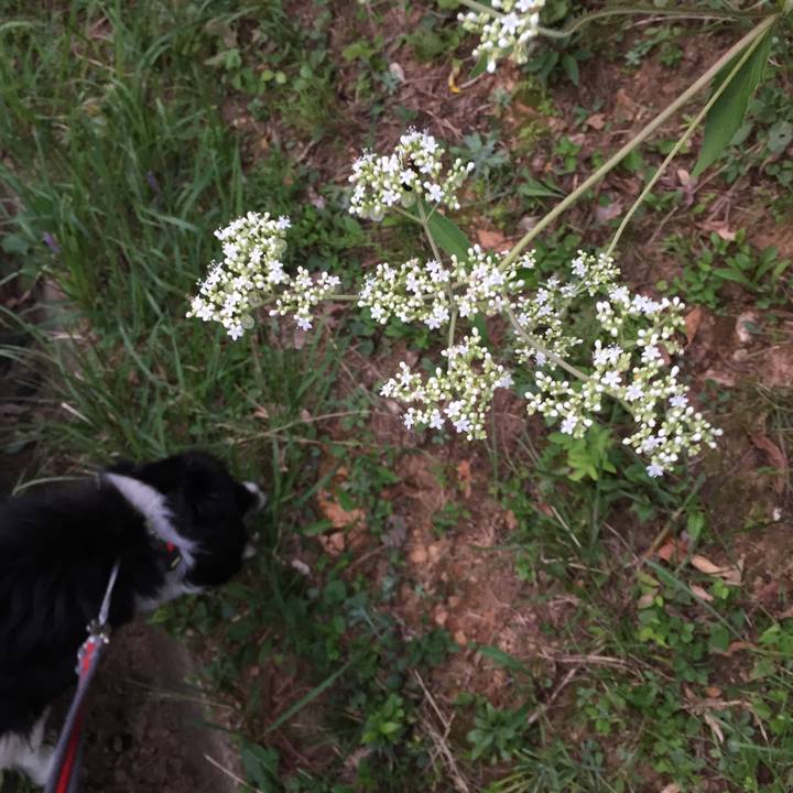 56be7992 7a08 439d 9719 b5ea42424273 1568626525083