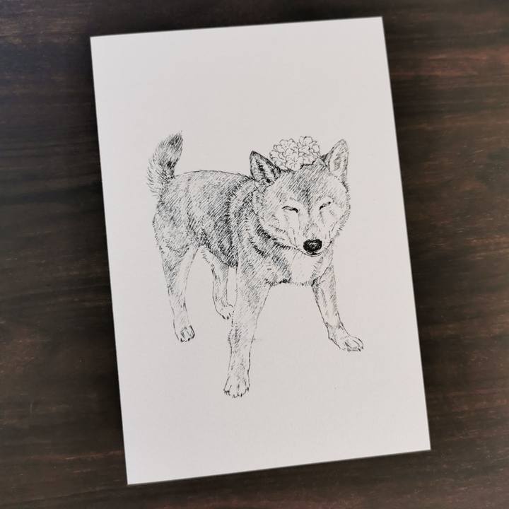 56be9cd8 cbe1 4ae2 9122 9348f77d36a2 1660056066778