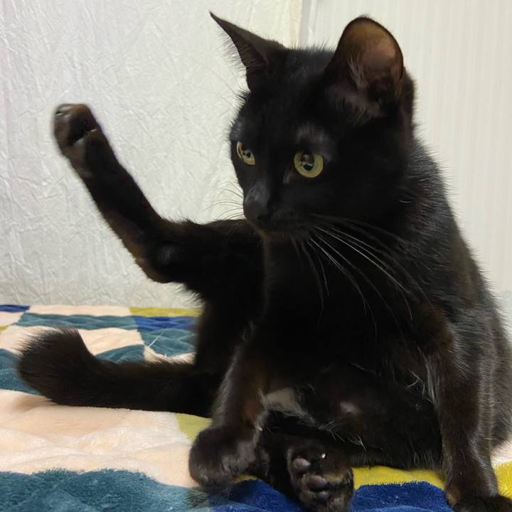 56bed16a d4db 4d00 9c04 af15893c2b6d 1673608268214