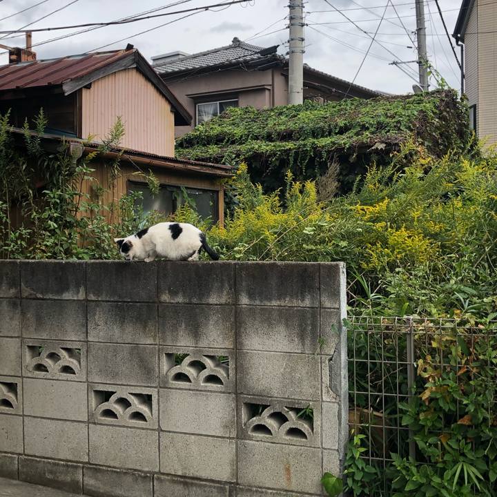 56bee64b f5ac 4520 b6e4 1d06aa1e5862 1638013501242