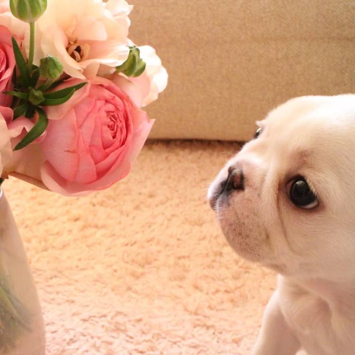 56beea69 db3f 41fd 8661 635607f51ba7 1650161345293