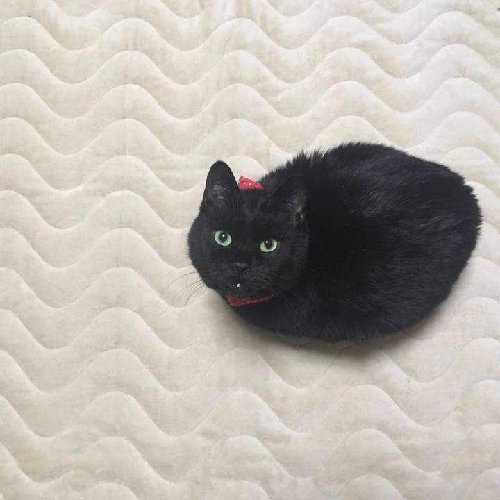 56bf24a6 21c2 4f70 8ea4 53579f43bc17 1614993103518