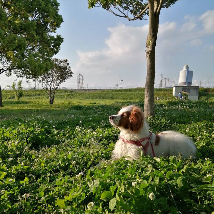 56bf46b2 2c2c 4339 9dde d1117afd5acc 1620041345425