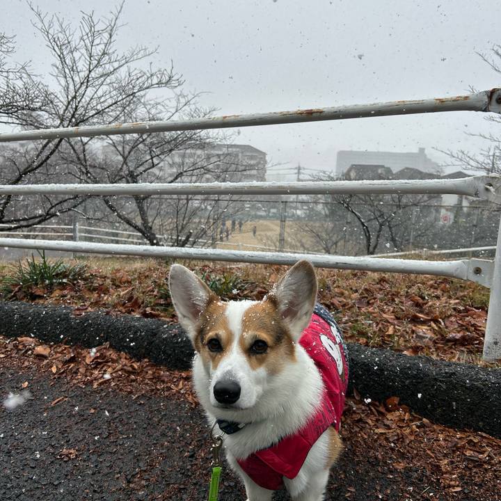 56bf552c f782 4e4a ab6e f87dc7dd5597 1768103669454