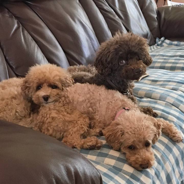 56bf633a 57d0 4967 84b2 e2f0e7fba872 1508588202271