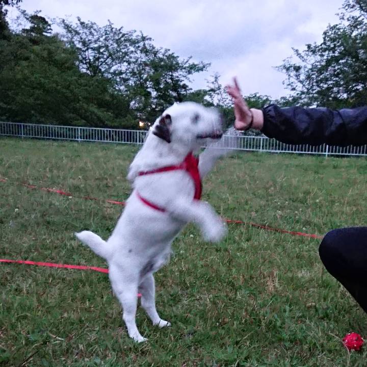 56bfbdd2 b89a 40f2 b69e 669b350e5921 1528007311668