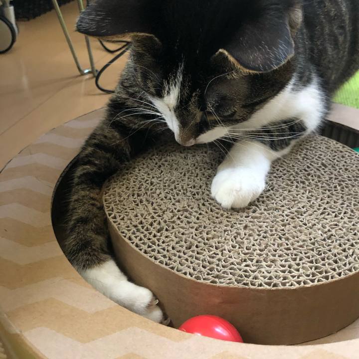 56bfbfb5 e4a4 44d4 a8fc e05cd6a86a8a 1561254521034