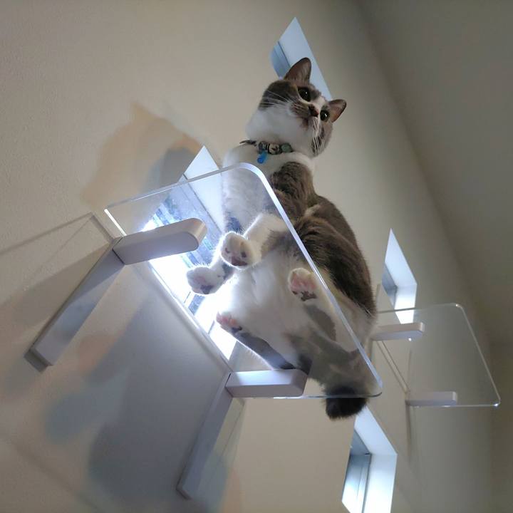 56bfcc12 df87 43d9 ad47 2cc597349f5c 1680819353477