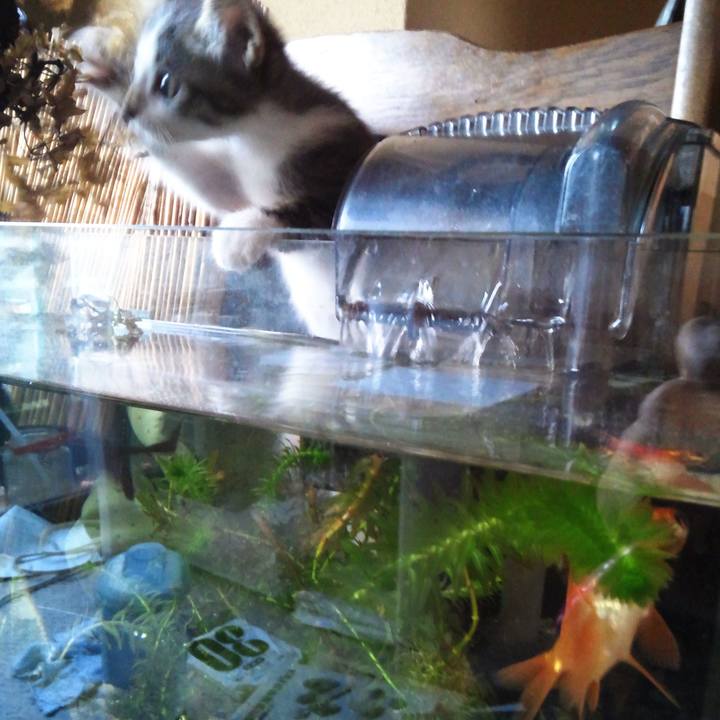 56bfecb3 938b 401c ac6b 7d6c128a2db3 1613698088597