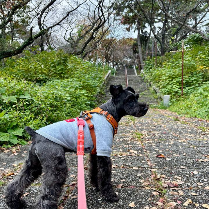 56bff4bd 9894 4b67 ac8c d9ea4a87cc1d 1763527515084