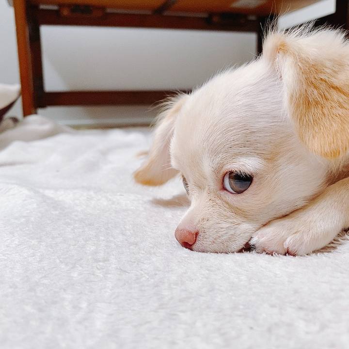 56c02ced 37f3 4fff a456 819542bef6fc 1591956474026