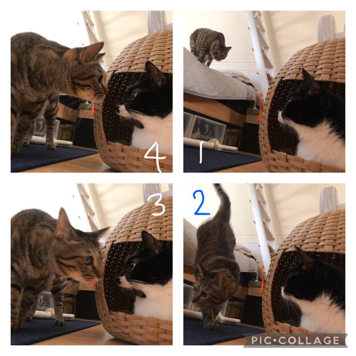 56c03636 3276 4394 accb cd9c248ee75d 1632517037888