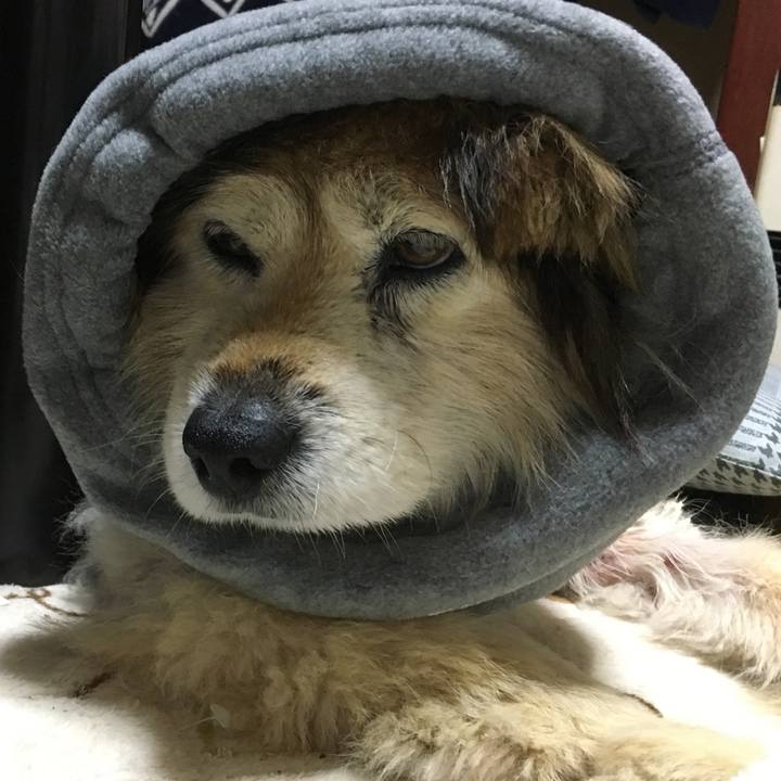 56c041e2 edd9 4ee7 af9f 7b7f3909aa99 1603785750740