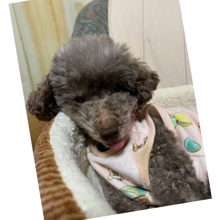 56c04471 40b2 4123 be69 d953bbd0ffdd 1614341976291