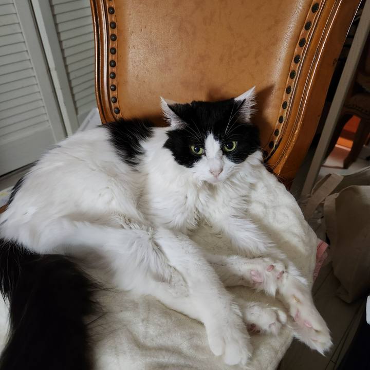 56c04e92 507c 45e4 8155 0b1d80b84be0 1731763766616