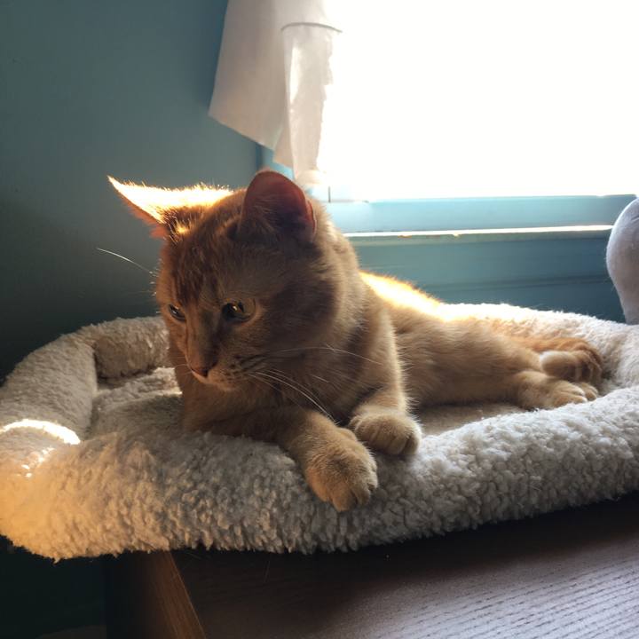 56c06957 cd69 4e4d 9244 60e7885dfd49 1621341721546