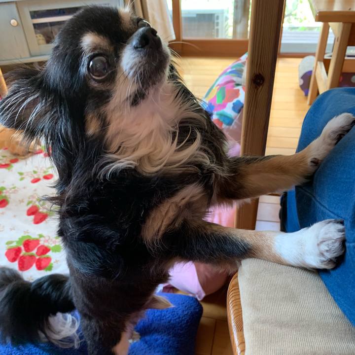 56c07af0 d02b 4006 96e5 be82d33858a8 1561422040433