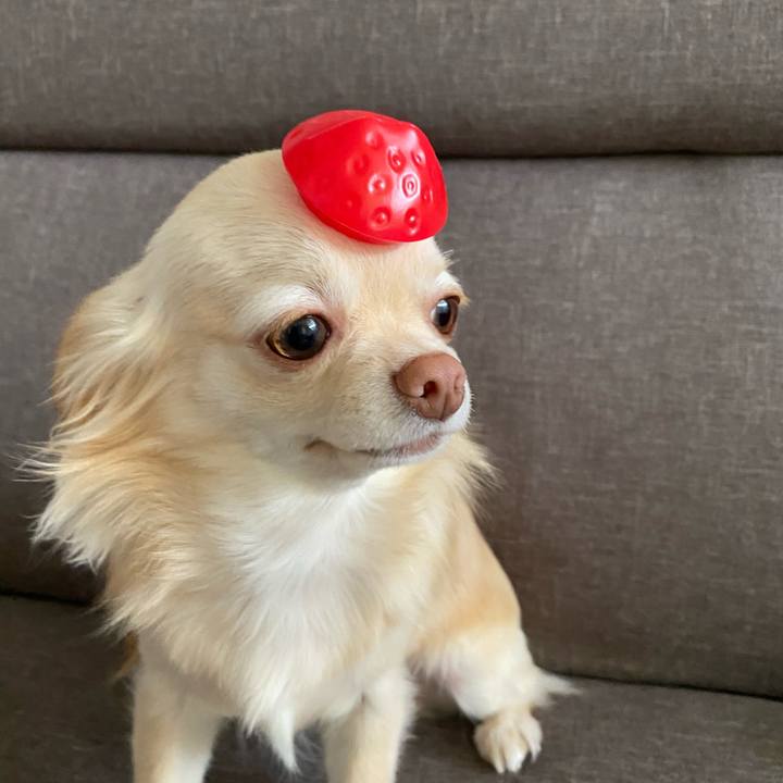 56c0895b 3b84 46ab 83d3 d1ce78dd22af 1618388218800