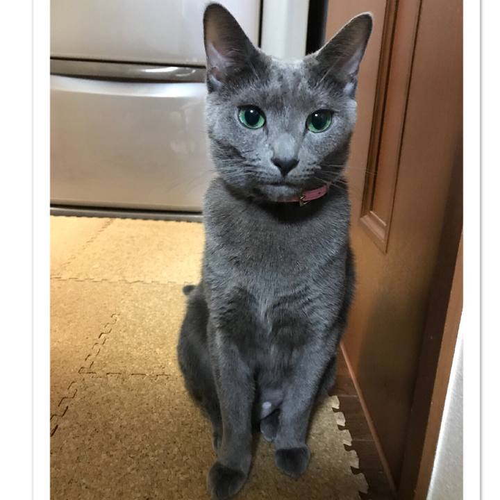 56c08e50 d198 4072 a938 febd5d5e9f21 1512297828978