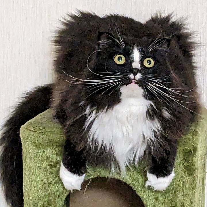 56c0aab5 382d 434e a0f2 8cccd2788626 1684238267862