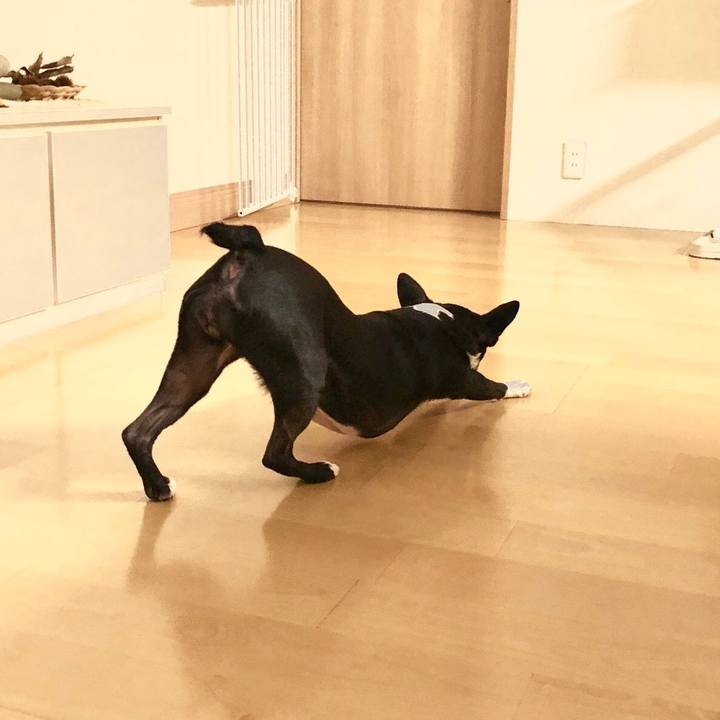 56c0dba5 ac8b 4be8 a592 b0a9d447b51a 1516022191973