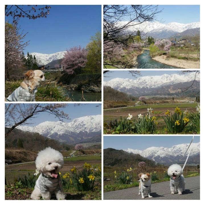 56c0efa9 4794 4f79 851b a02b7d917271 1524728624260