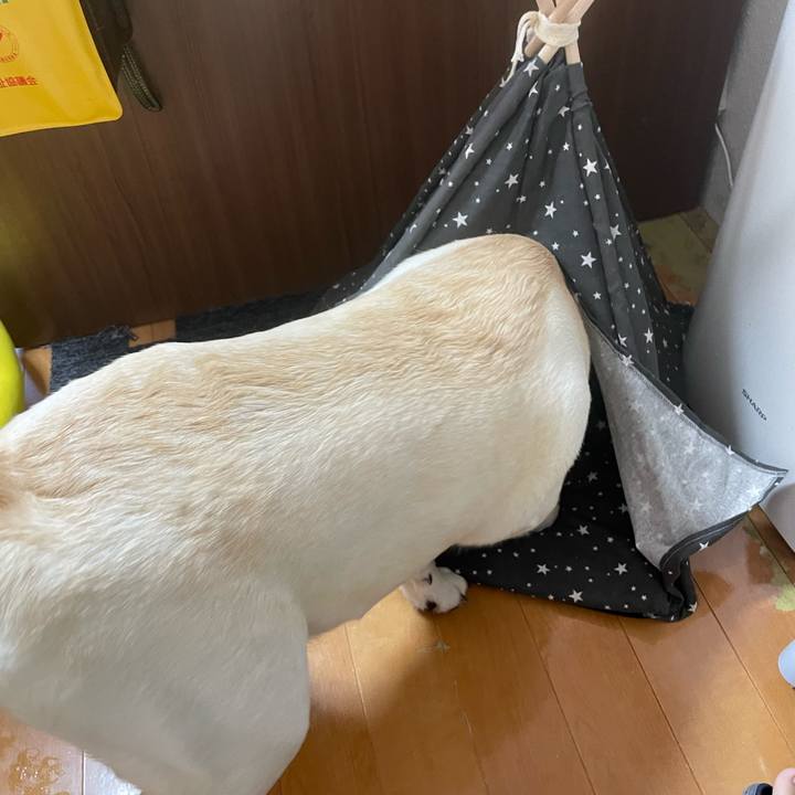 56c10d64 1385 4530 ba6e 0f556149aa2e 1652864957942