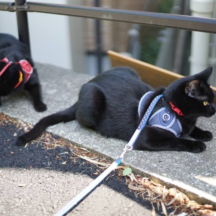 56c146d6 cf9a 4b51 a09e 9ad7641edc92 1524926003835