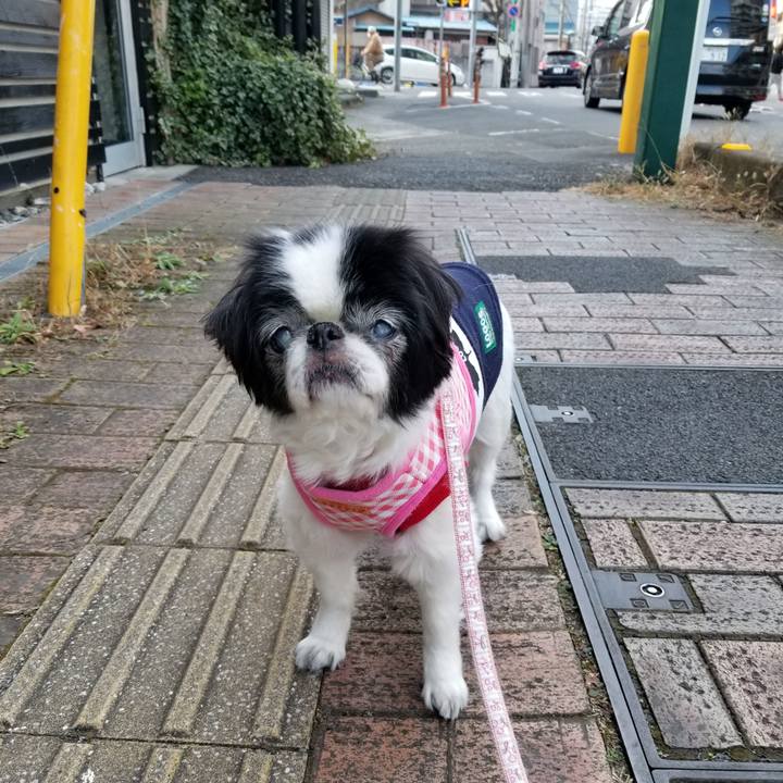 56c15a95 6ad2 4726 94c5 61ec812192f6 1607768413572