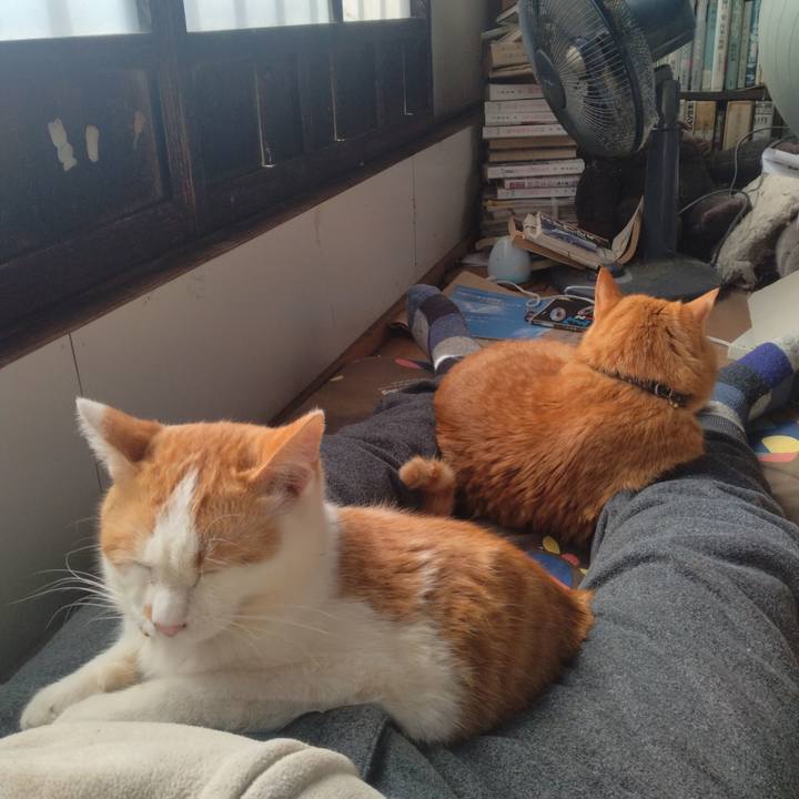 56c19508 21cc 4fc2 8fad 0feaf56704c9 1741060137498