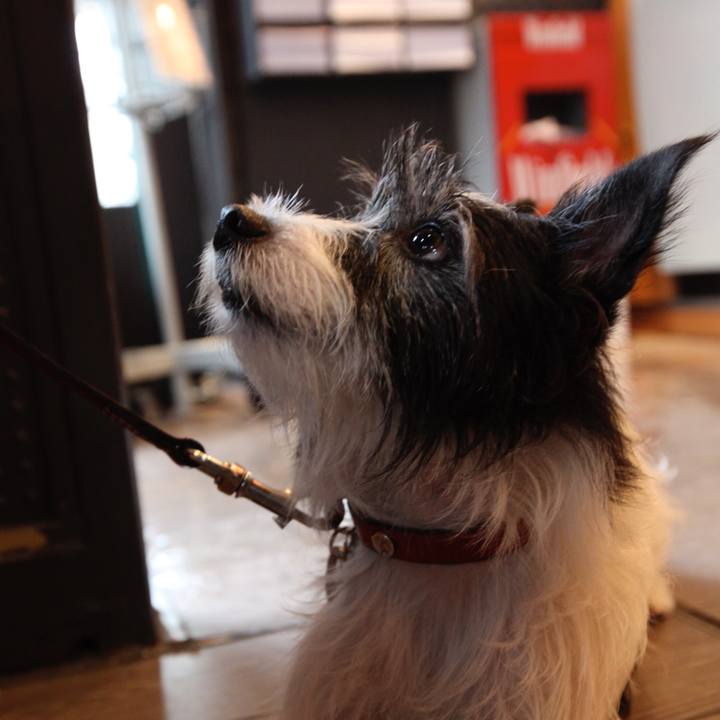 56c226ee 8235 4fe5 93d9 a6b5a878b56d 1614990835930