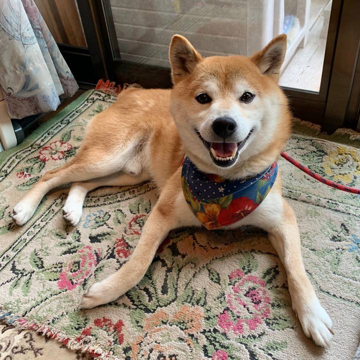 56c25e4e bb51 4df1 91a3 60d70bcc9861 1589878623407