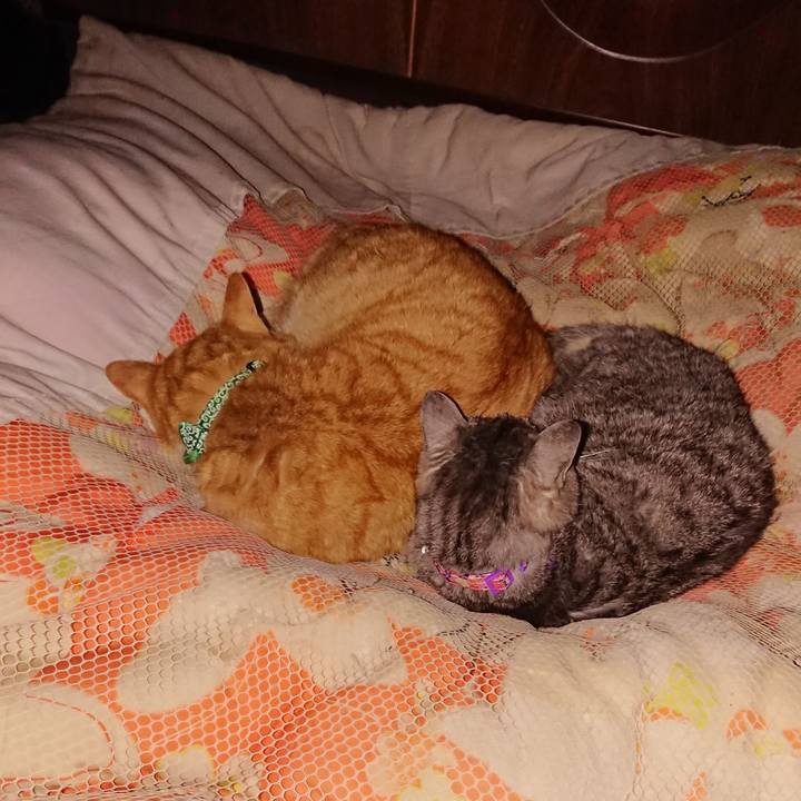 56c27092 d02a 49b4 ba24 49ca8505b05e 1581088653059