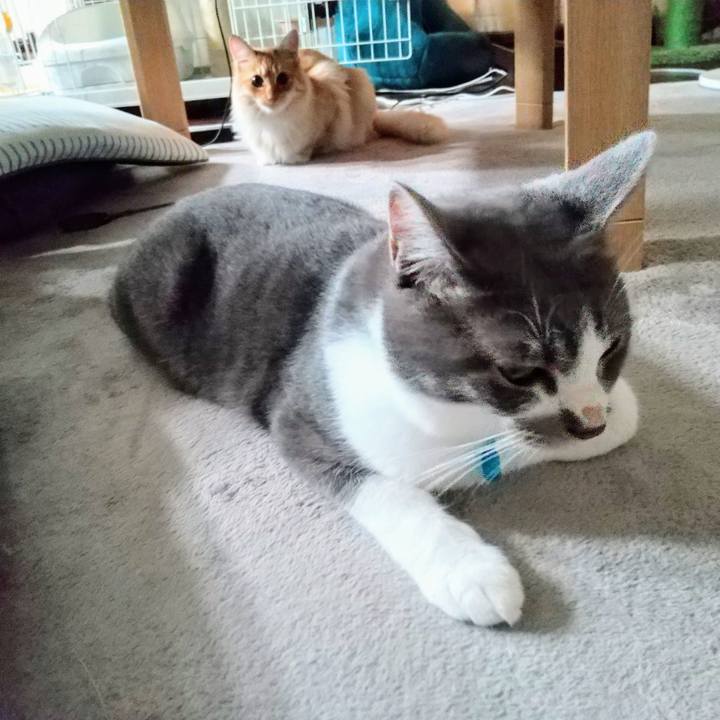 56c2ace1 2a9c 4957 a9d5 4363b9637f71 1624484370819