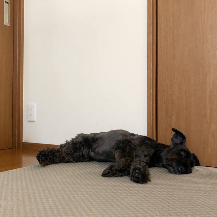 56c2d336 a956 4e61 94d7 0e6c24e4df71 1689379028839