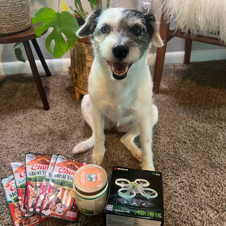 56c30402 c826 42f0 9ce6 b4f9eb416f8e 1721426622495