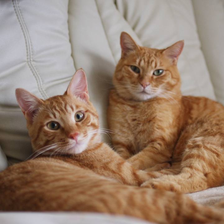 56c31537 5608 440c bd96 13799006bdf1 1722564140692